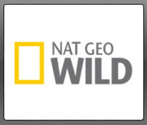 Nat Geo WILD - Прямой эфир KinoDo Онлайн Tv Смотреть онлайн