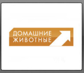 Домашние животные - Прямой эфир KinoDo Онлайн Tv Смотреть онлайн